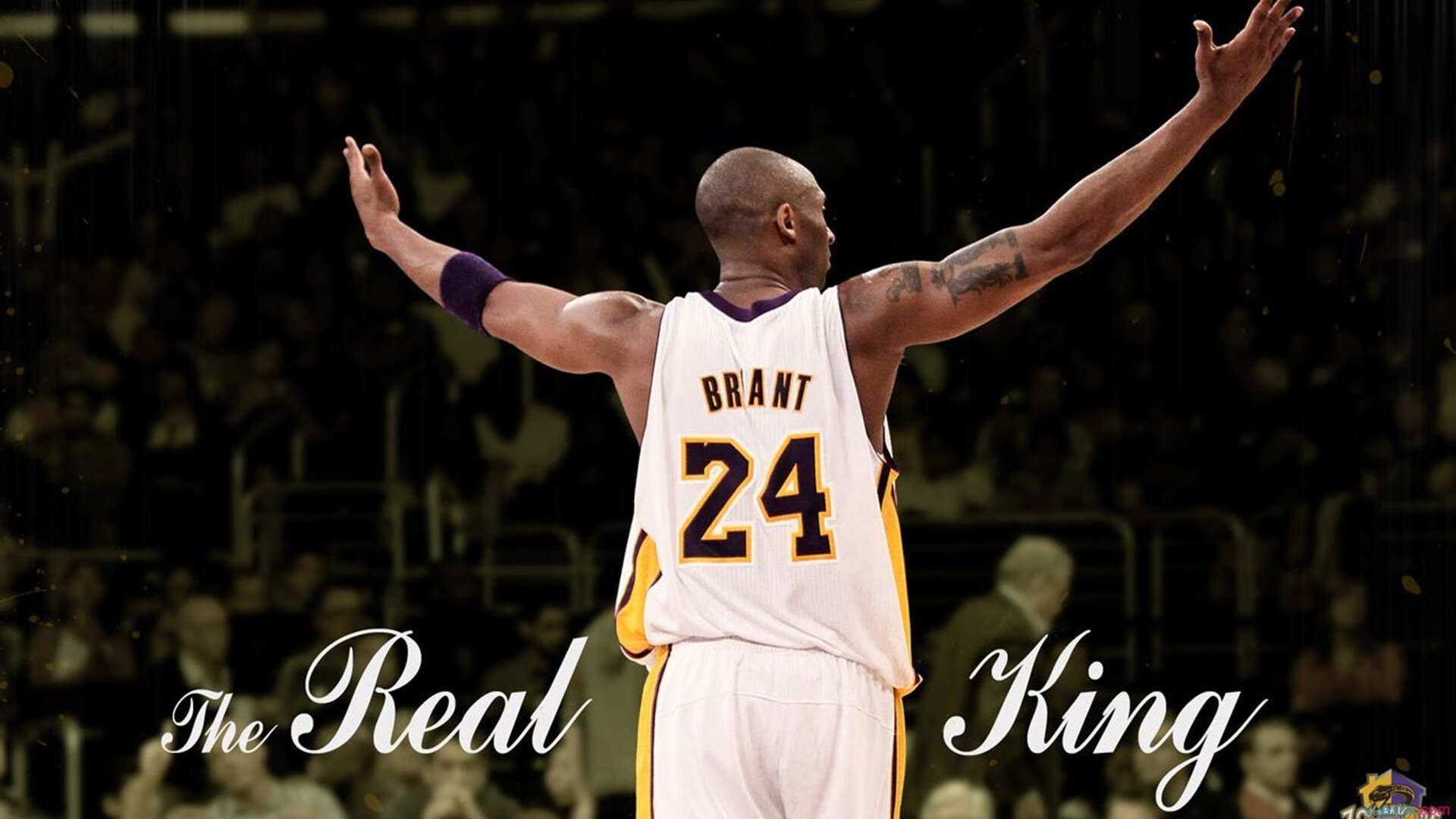 体育场馆智能化升级,观赛体验全面提升,体育场馆智能化改造